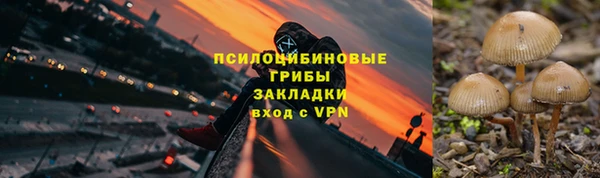 молекула духа Алексин