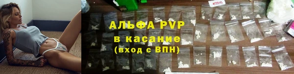 СК Абинск
