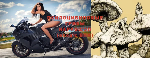 МДПВ Козловка