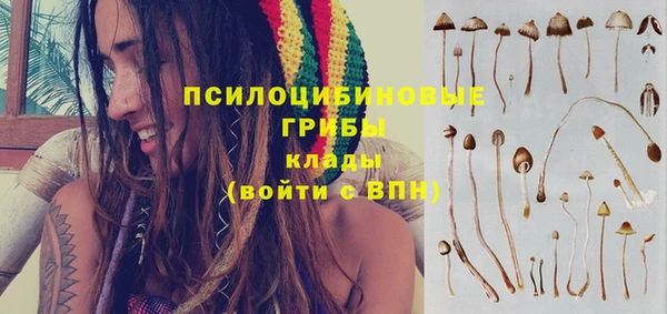 ECSTASY Абаза