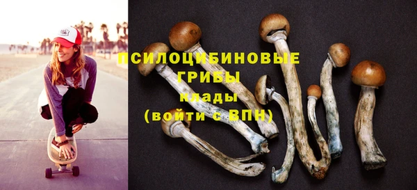 бутират Алексеевка