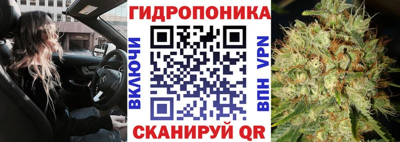 Бошки марихуана VHQ цена Чекалин